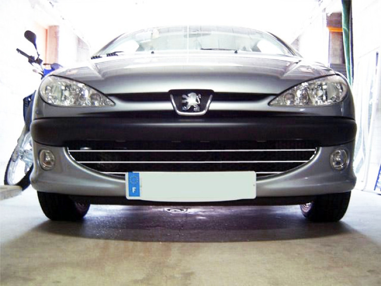 Cornice cromata griglia radiatore Peugeot 206 Peugeot 206 CC Peugeot 206 SW nido d'api