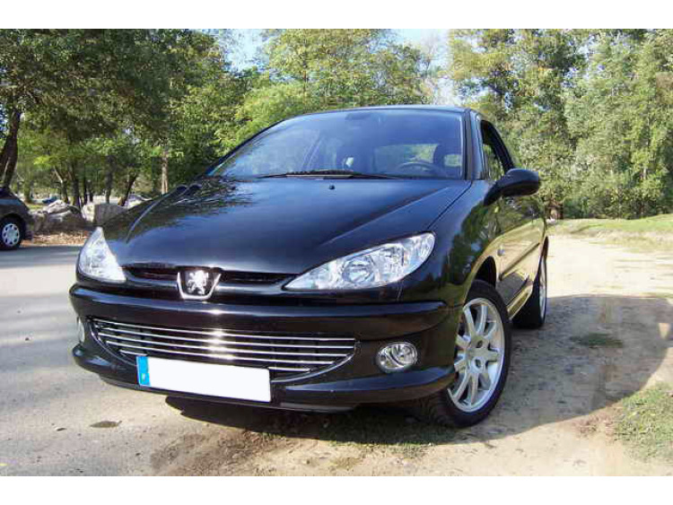Cornice cromata griglia radiatore Peugeot 206 Peugeot 206 CC Peugeot 206 SW