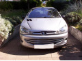 Cornice cromata griglia radiatore Peugeot 206 Peugeot 206 CC Peugeot 206 SW