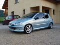 Cornice cromata griglia radiatore Peugeot 206 Peugeot 206 CC Peugeot 206 SW