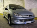 Cornice cromata griglia radiatore Peugeot 206 Peugeot 206 CC Peugeot 206 SW