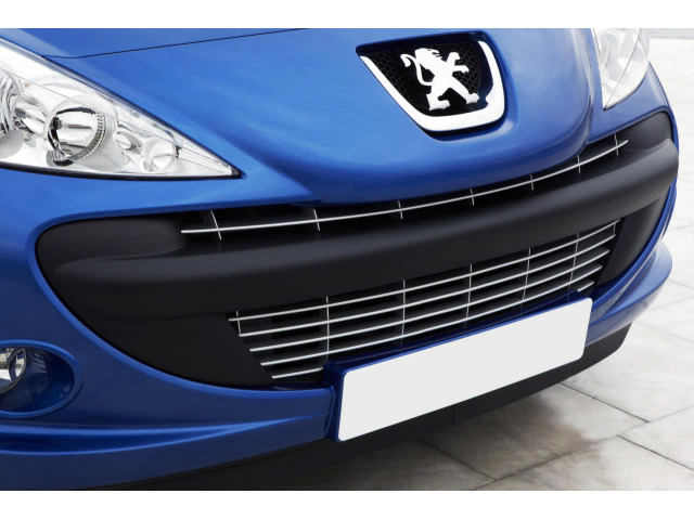 Cornice cromata griglia radiatore Peugeot 206 plus 