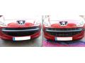 Cornice cromata griglia radiatore Peugeot 207 06-12 Peugeot 207 CC 07-15 Peugeot 207 SW 07-13