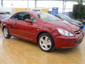 Cornice cromata griglia radiatore Peugeot 307 01-05 Peugeot 307 CC 01-05 Peugeot 307 SW 01-05
