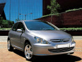 Cornice cromata griglia radiatore Peugeot 307 01-05 Peugeot 307 CC 01-05 Peugeot 307 SW 01-05