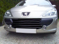 Cornice cromata griglia radiatore Peugeot 307 05-09 Peugeot 307 CC 05-09 Peugeot 307 SW 05-09