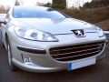Cornice cromata griglia radiatore Peugeot 407 & Peugeot 407 SW orizzontale