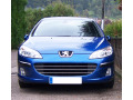 Cornice cromata griglia radiatore Peugeot 407 & Peugeot 407 SW orizzontale