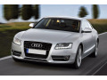 Cornice cromata per fari antinebbia Audi A5 Cabriolet 09-11 Audi A5 Coup&eacute; 07-11 Audi A5 Sportback 09-11