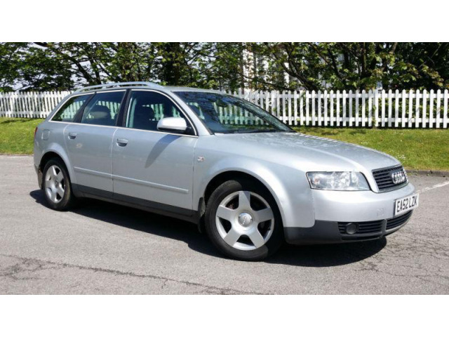 Fascia cromata di contorno dei vetri laterali Audi A4 série 2 0004