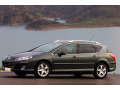 Fascia cromata di contorno dei vetri laterali Peugeot 407 SW