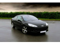 Fascia cromata di contorno dei vetri laterali Peugeot 407