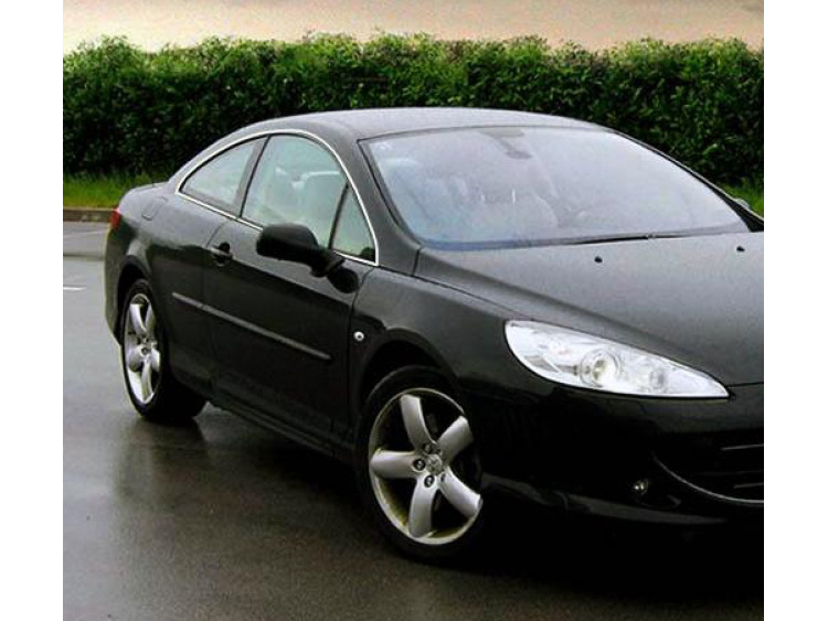 Fascia cromata di contorno dei vetri laterali Peugeot 407