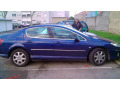 Fascia cromata di contorno dei vetri laterali Peugeot 407