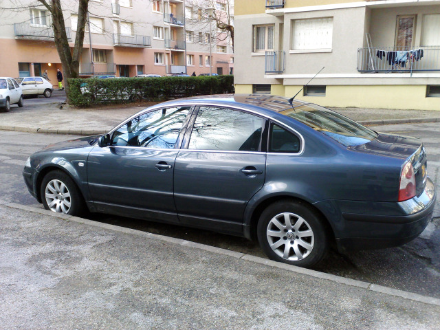 Fascia cromata di contorno dei vetri laterali VW Passat 9505