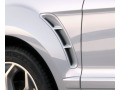 Fascia cromata per aerazione Ford S-Max