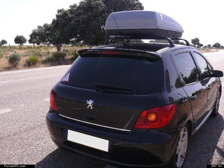Fascia per bagagliaio cromata Peugeot 106 Peugeot 107 Peugeot 108 Peugeot 205 Peugeot 206 Peugeot 206 CC Peugeot 206 plus + Peugeot 306 Peugeot 306 CC Peugeot 307 01-05 Peugeot 307 05-09 Peugeot 307 C