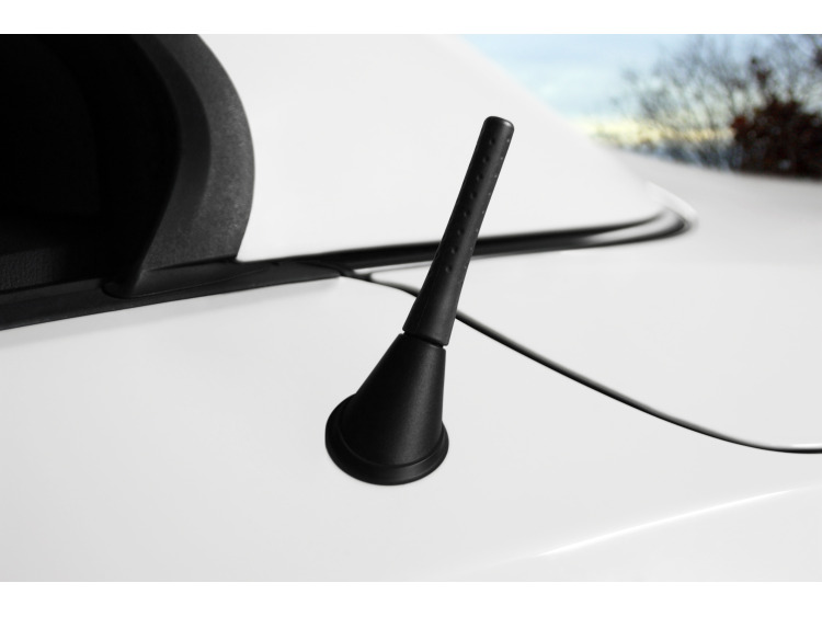 Piccola antenna di caucci&ugrave;